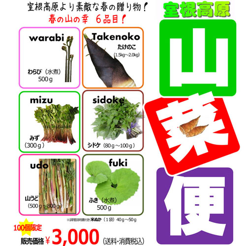 山菜便